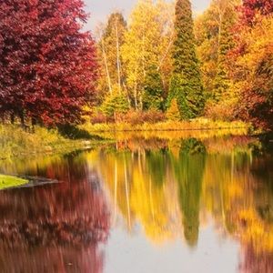 Meet your Posher, Dougherty